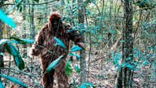 Is Bigfoot Real? Researchers Think They May Have Figured It Out