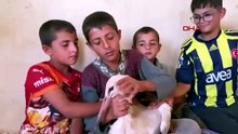 Göç yolunda yorgun düşen leyleği eve alıp misafir ettiler
