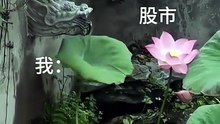 太生动了，太贴切了