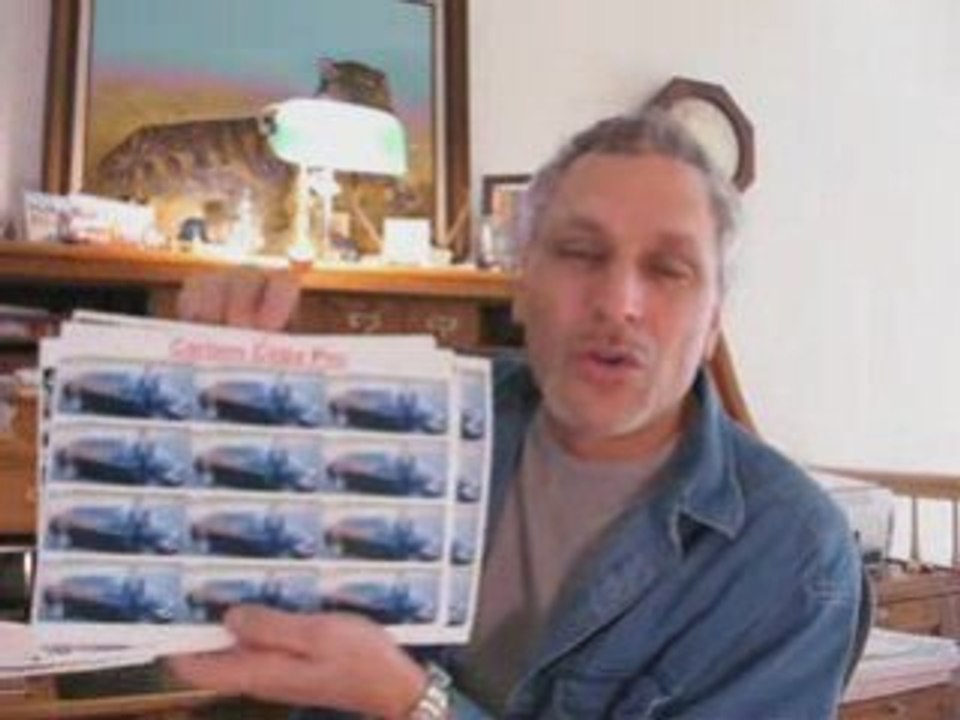 GRN vs CarbonCopyPRO & REVERSE FUNNEL vs Global Resorts GRN