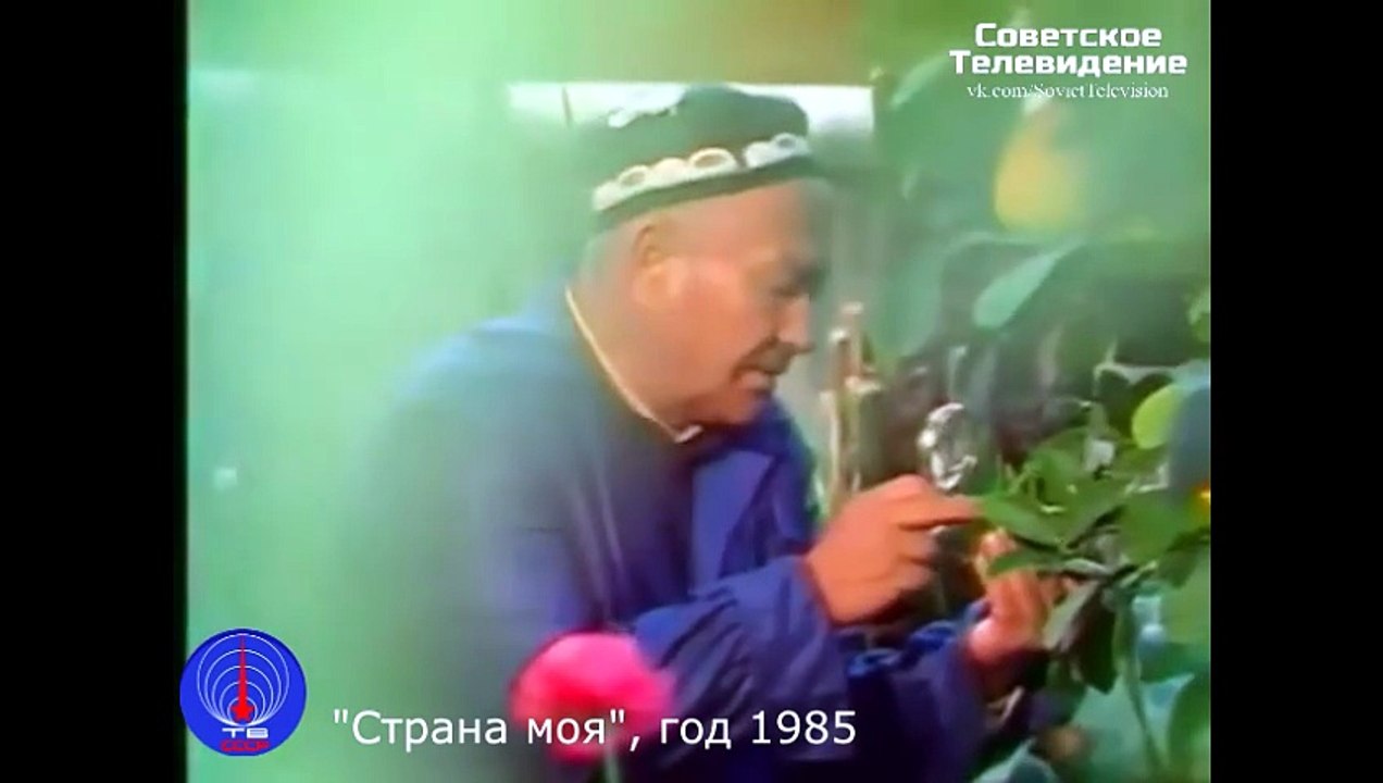 Страна моя. год 1985