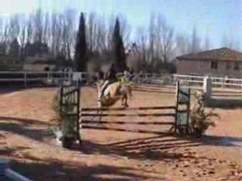 Lion Mahoud Eguilles1