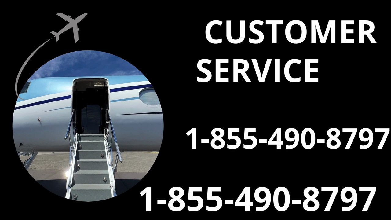 How to Reach Priceline® Customer Service Number™ | Complete USA Support Guide