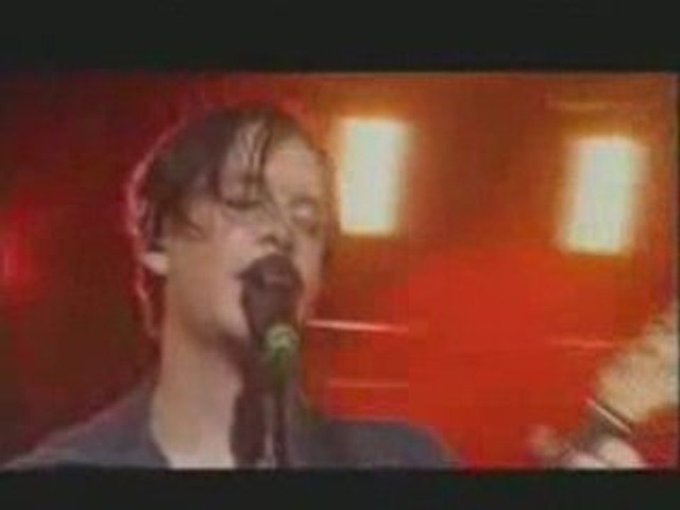 Lady of the flowers live aux Eurockéennes de Belfort 1999