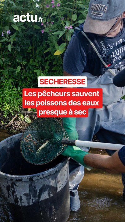 La "pêche de sauvetage" pour sauver les poisson...