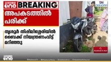 തൃശ്ശൂരിൽ നിയന്ത്രണം വിട്ട ബൈക്ക് മറിഞ്ഞ് രണ്ടുപേർക്ക് ഗുരുതര പരിക്ക്