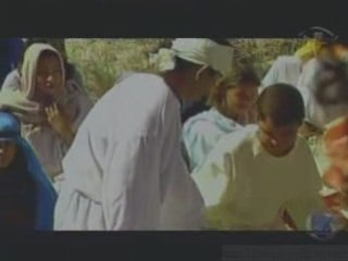 Quatro Por Um- Cinco Pães E Dois Peixinhos