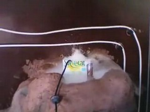 Vivarium test fogger dendro