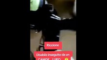 Lupo avvistato da un disabile in carrozzina motorizzata a Riccione