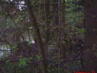 Ancien cimetière allemand