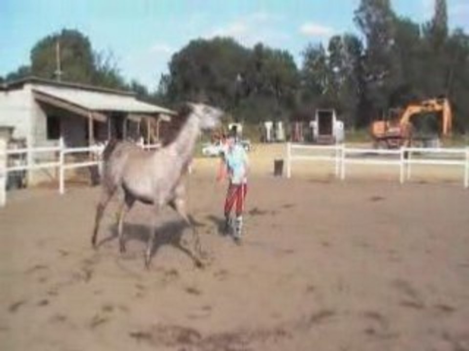 Orane à pied 1/3