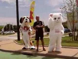 bilal et c mascote alibak