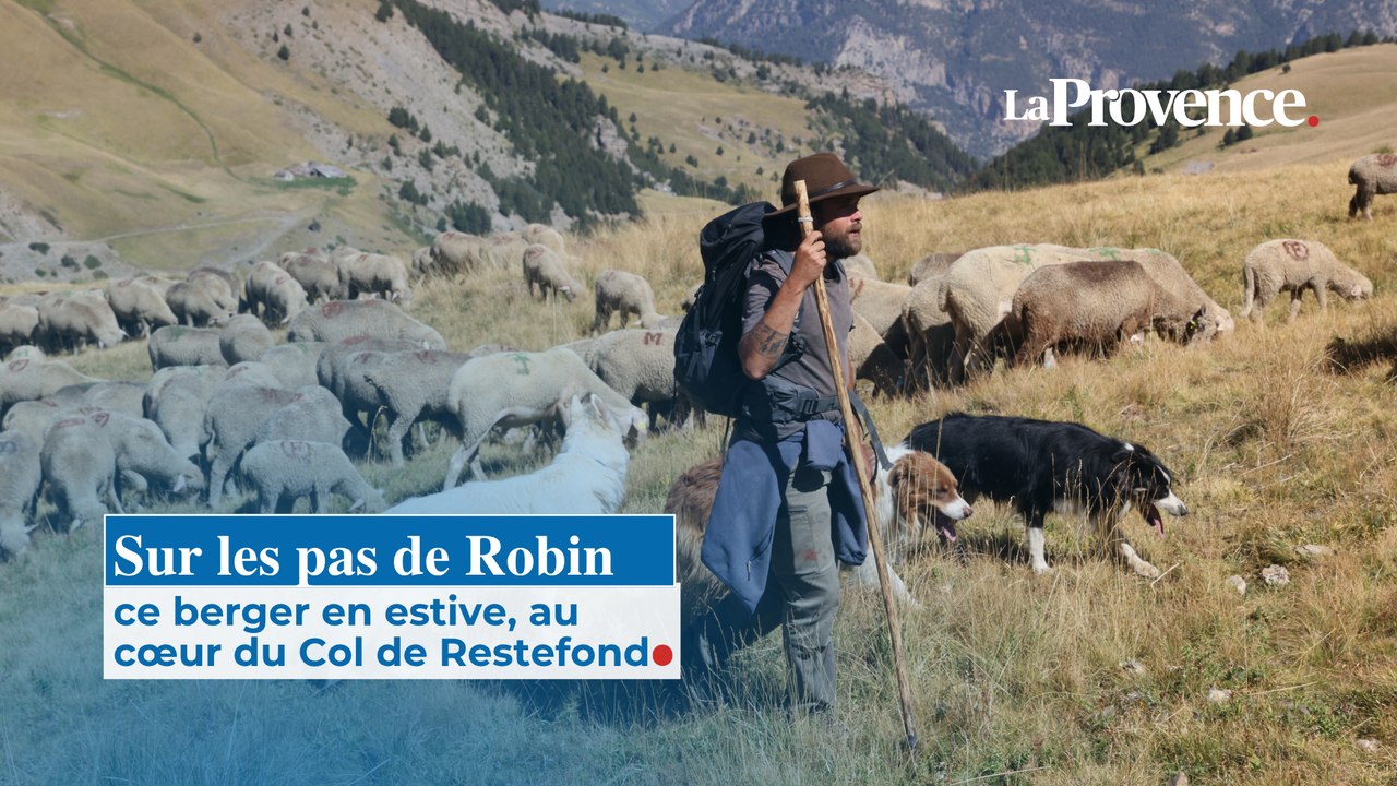Sur les pas de Robin, ce berger en estive, au c...