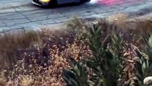 #cars_car_video