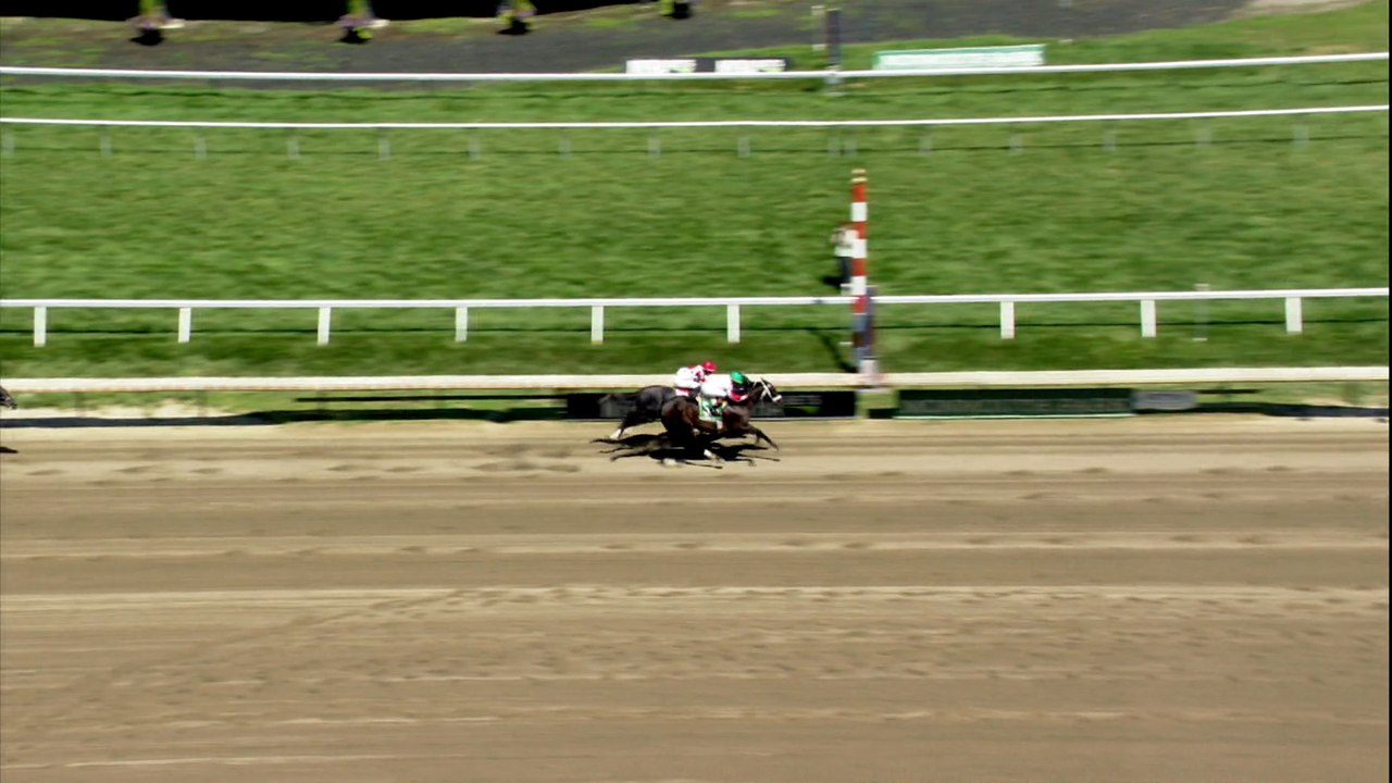 Once Again, the Fastest Horse of the Week was a...