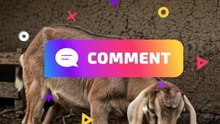 🐐 Bakriyon में होने वाली 5 खतरनाक बीमारियां! ⚠️ Symptoms जरूर जानें #shorts #shortsfeed #trending