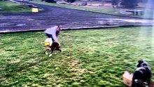 Funniest Animal Videos 😂 Pets Have No Idea How Funny They Are