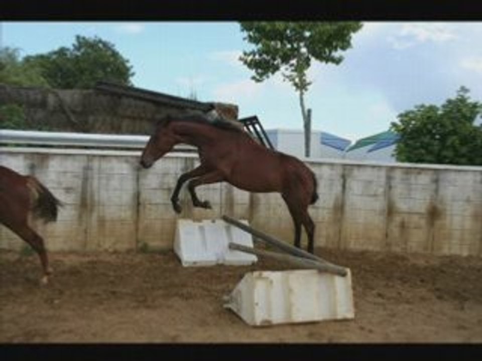 Week end chevaux