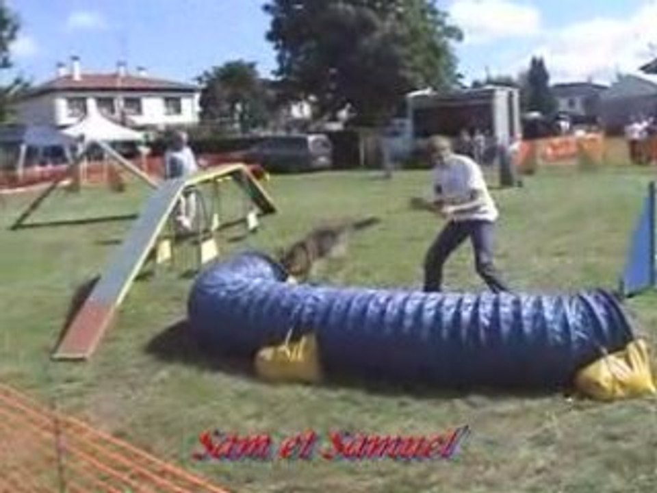 Agility (Open et Degrés d'Obernaumen 2008)