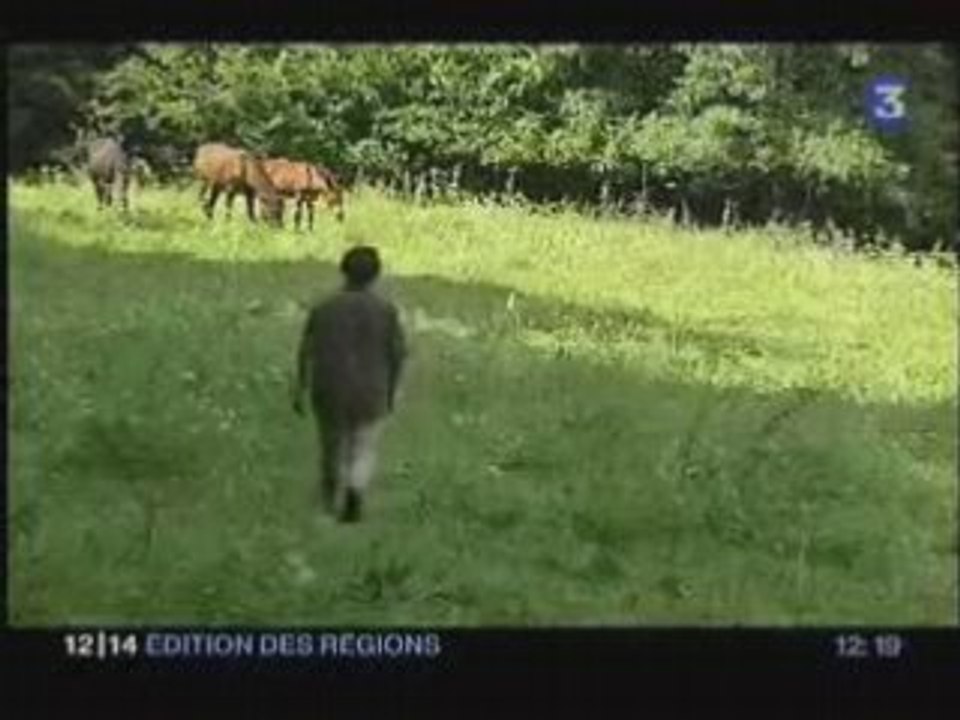 Poulain mutilé en France 7 Août 2005