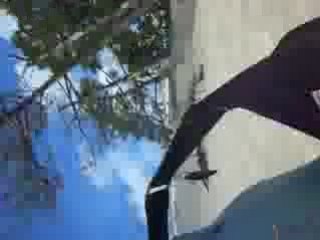 descente de la dune du pilat