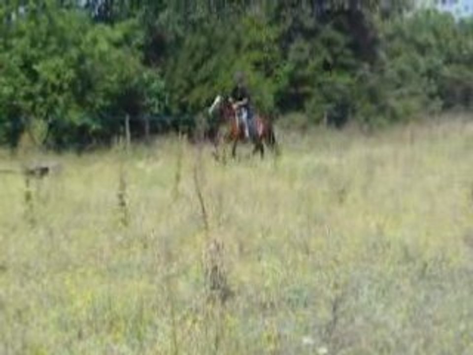 DSCN3374