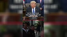 Donald Trump defends Tiger after guilty plea