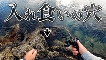 ゴロタ堤防の穴釣りで入れ食い！カサゴ連発と良型も出た岩場の穴探り