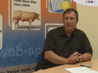 Jeunes Bovins : situation et tendance