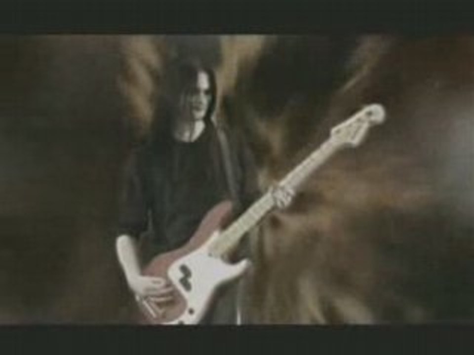 Tvangeste Clip Raven