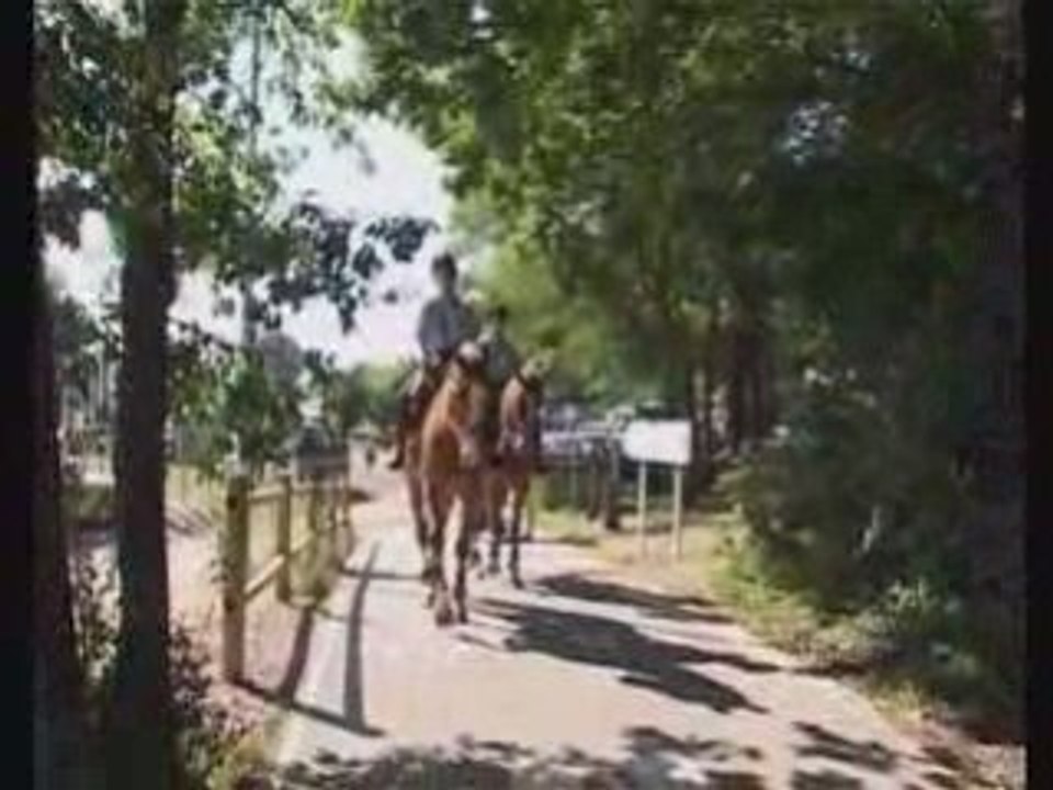 Gendarme à cheval
