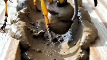 #viral #trending #dailymotion #popular