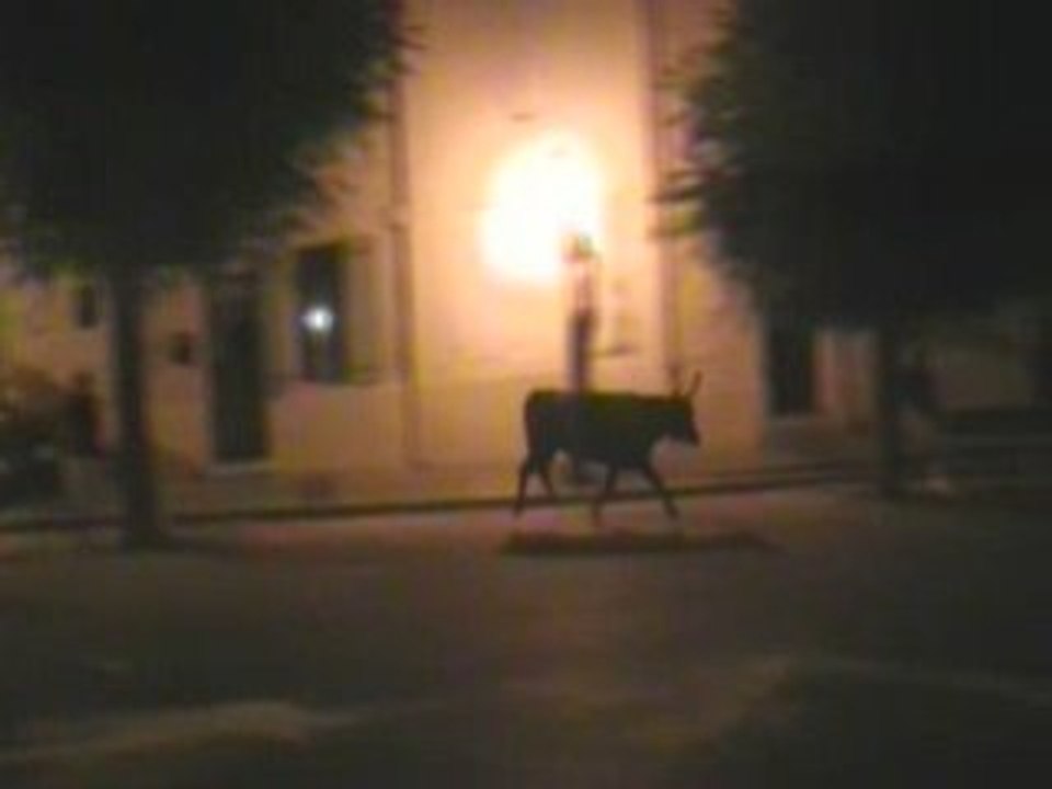 Encierro mus 3