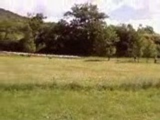 Elles s'échappent ! Elles s'échappent !