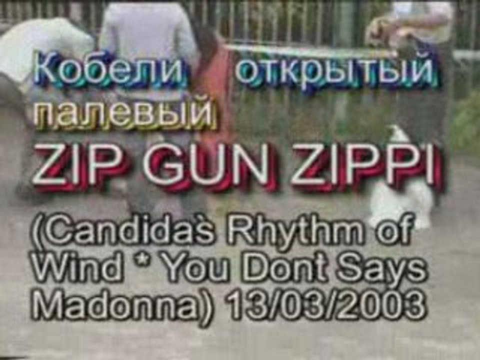 amcocker dog show 09.07.2005 Moscow part 2