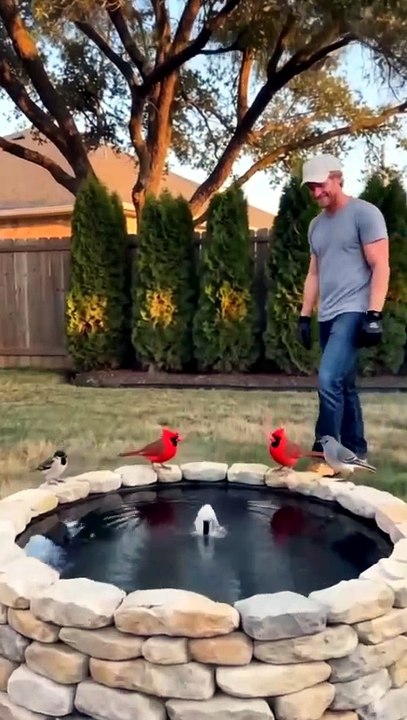 Tractor Tire Transformed Into Stone Bird Bath P...