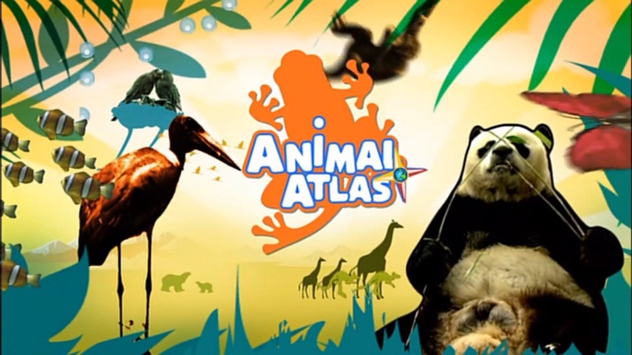 Animal Atlas - Opening Title Theme Intro Song (2008) (HD DVD Rip)