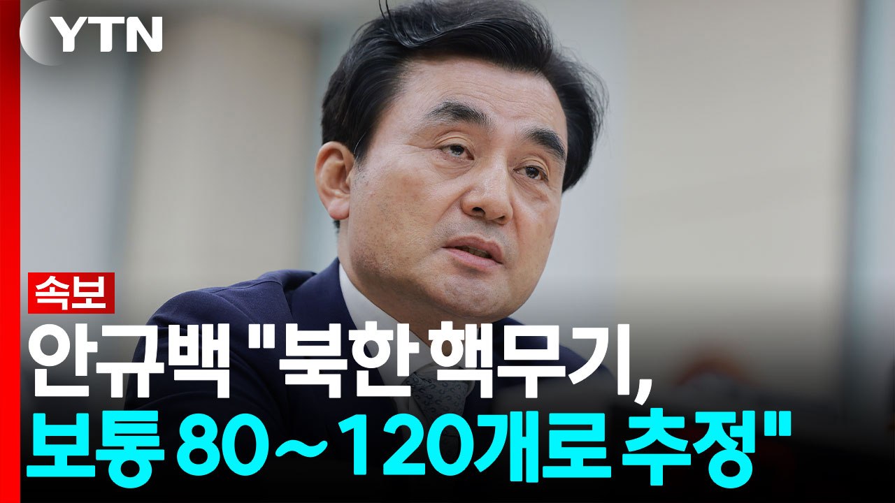 [속보] 안규백 "북한 핵무기, 보통 80∼120개로 추정" / YTN