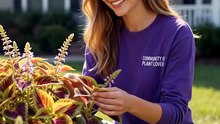 Coleus Seeds plant lover