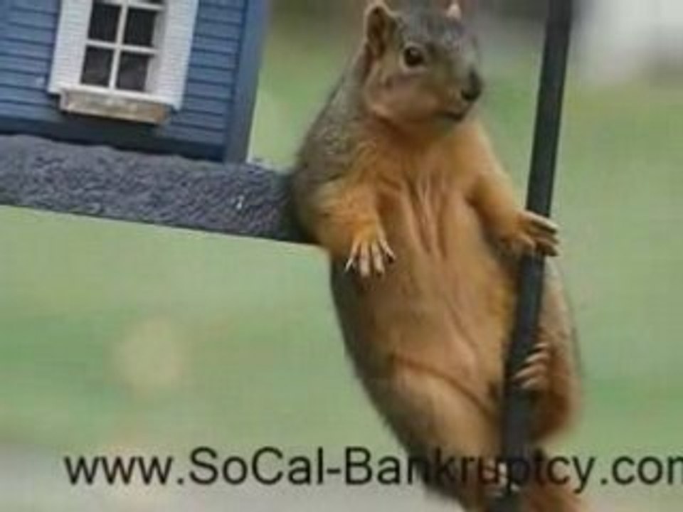 San Diego Escondido North County Bankruptcy Lawyer