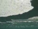 KOPARKI - nurkowanie zimą; http://divershop.pl
