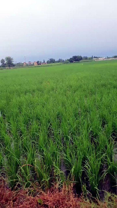 Cloudy weather beautiful village weather beauti...