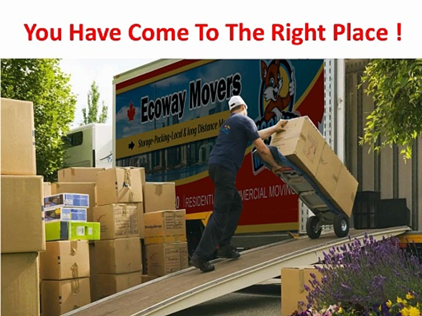 Ecoway Movers : #1 Moving Company in Oshawa, ON | L1H 3V8