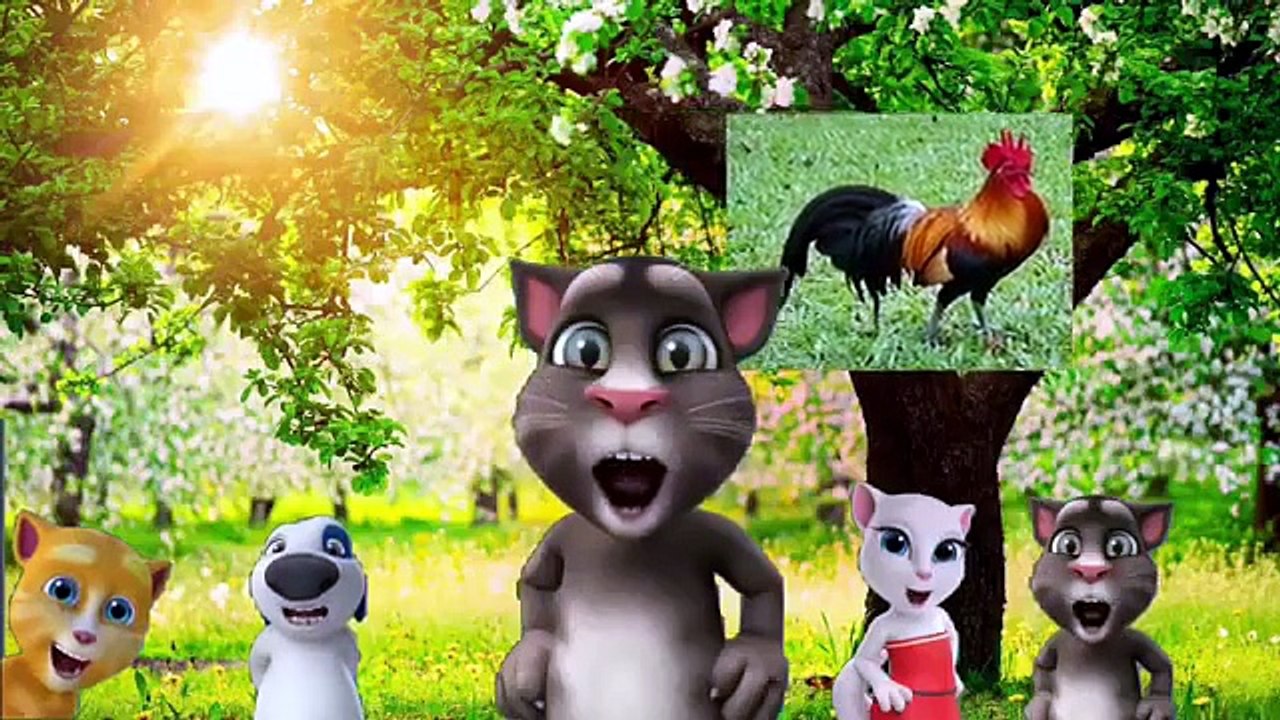 TOM HOROZUMU KAÇIRDILAR -) Çizgi Film izle #Eğiticiçizgifilmler #TRTÇocuk