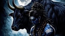 true' line __ #mahadev __ har har Mahadev