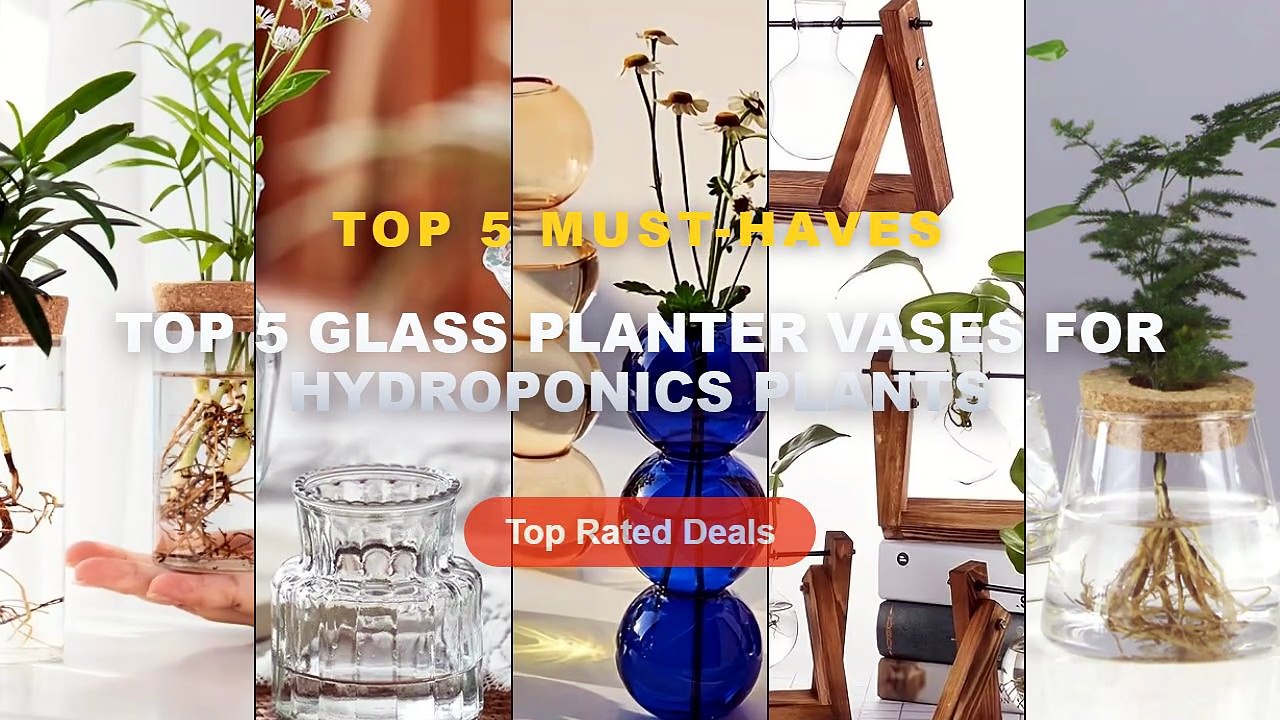 Ultimate Guide to the Best Top 5 Glass Planter...