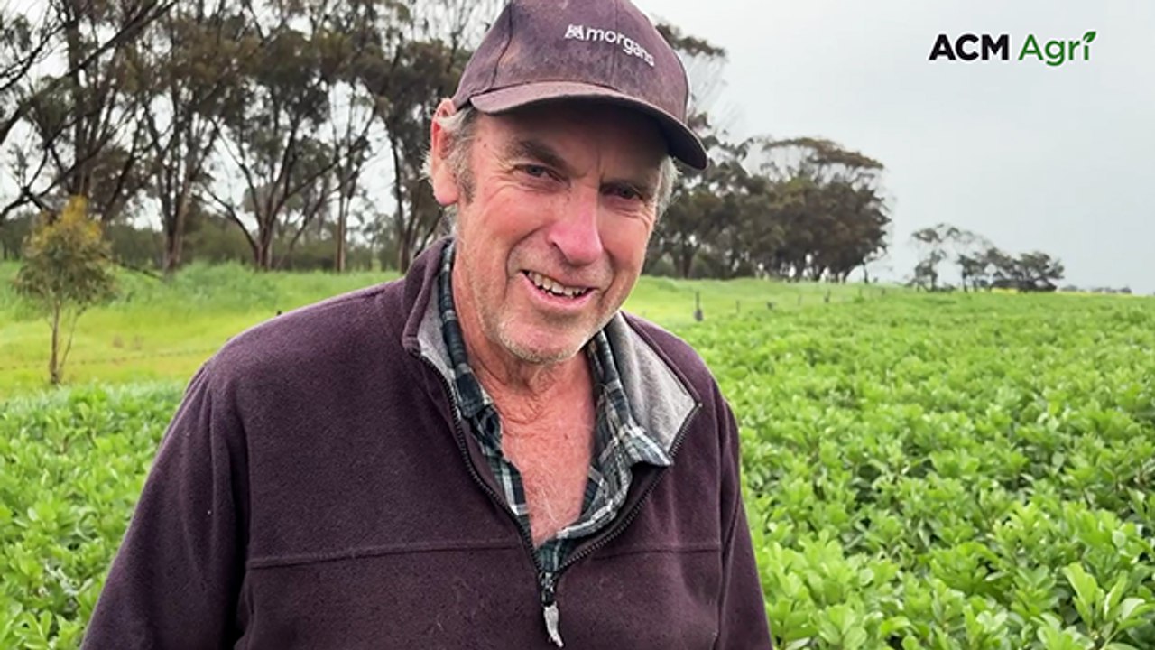 From soil probes to export hay: a farm's three-decade evolution