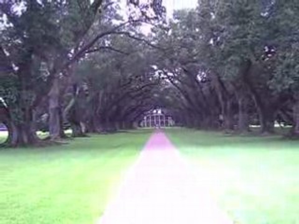 Oak Alley Plantation