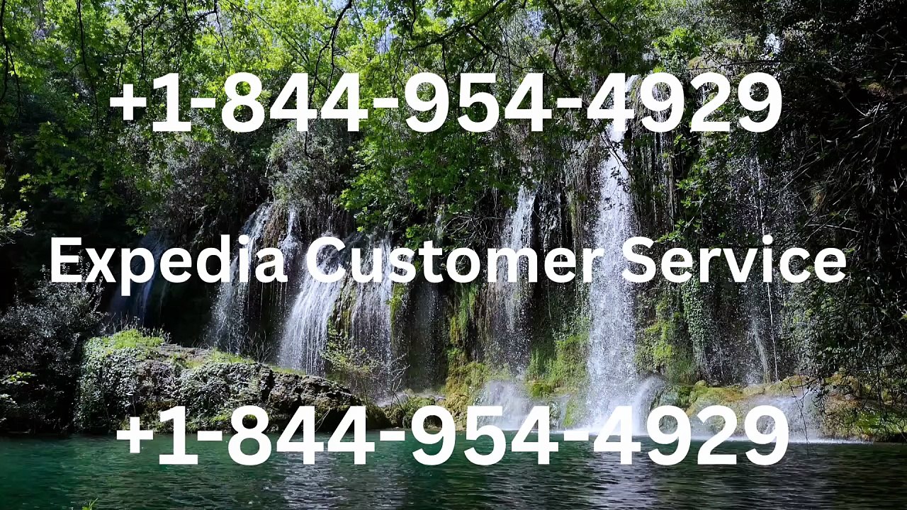 Expedia Customer Service: Complete Support Opti...
