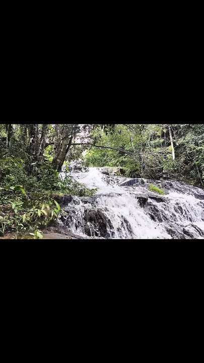 Cachoeira das Palmeiras